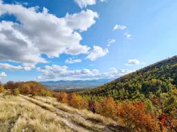6.513 m² bosgrond in de regio Belogradchik - Bulgarije