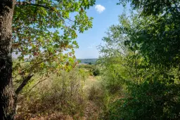 45.863 m² bosgrond in Brankovtsi, Vidin - Bulgarije