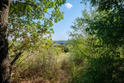 45.863 m² bosgrond in Brankovtsi, Vidin - Bulgarije