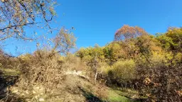 Huis met een perceel van 3.995 m² en extra gebouwen in Kosta Perchevo - Bulgarije