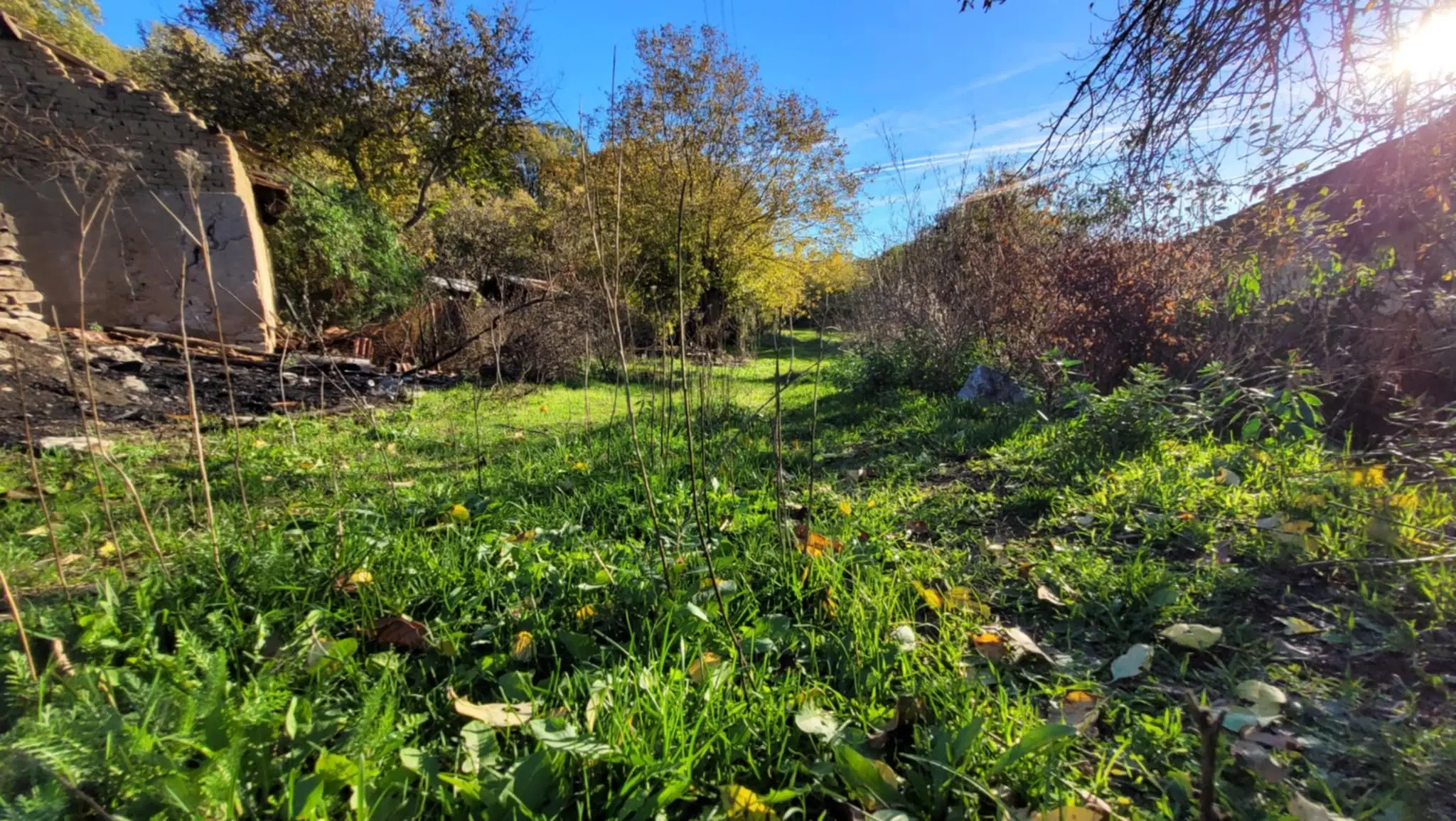 Huis met een perceel van 3.995 m² en extra gebouwen in Kosta Perchevo - Bulgarije