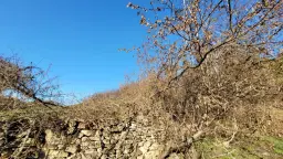 Huis met een perceel van 3.995 m² en extra gebouwen in Kosta Perchevo - Bulgarije