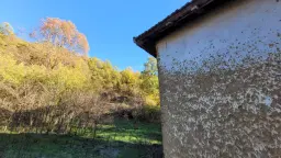 Huis met een perceel van 3.995 m² en extra gebouwen in Kosta Perchevo - Bulgarije