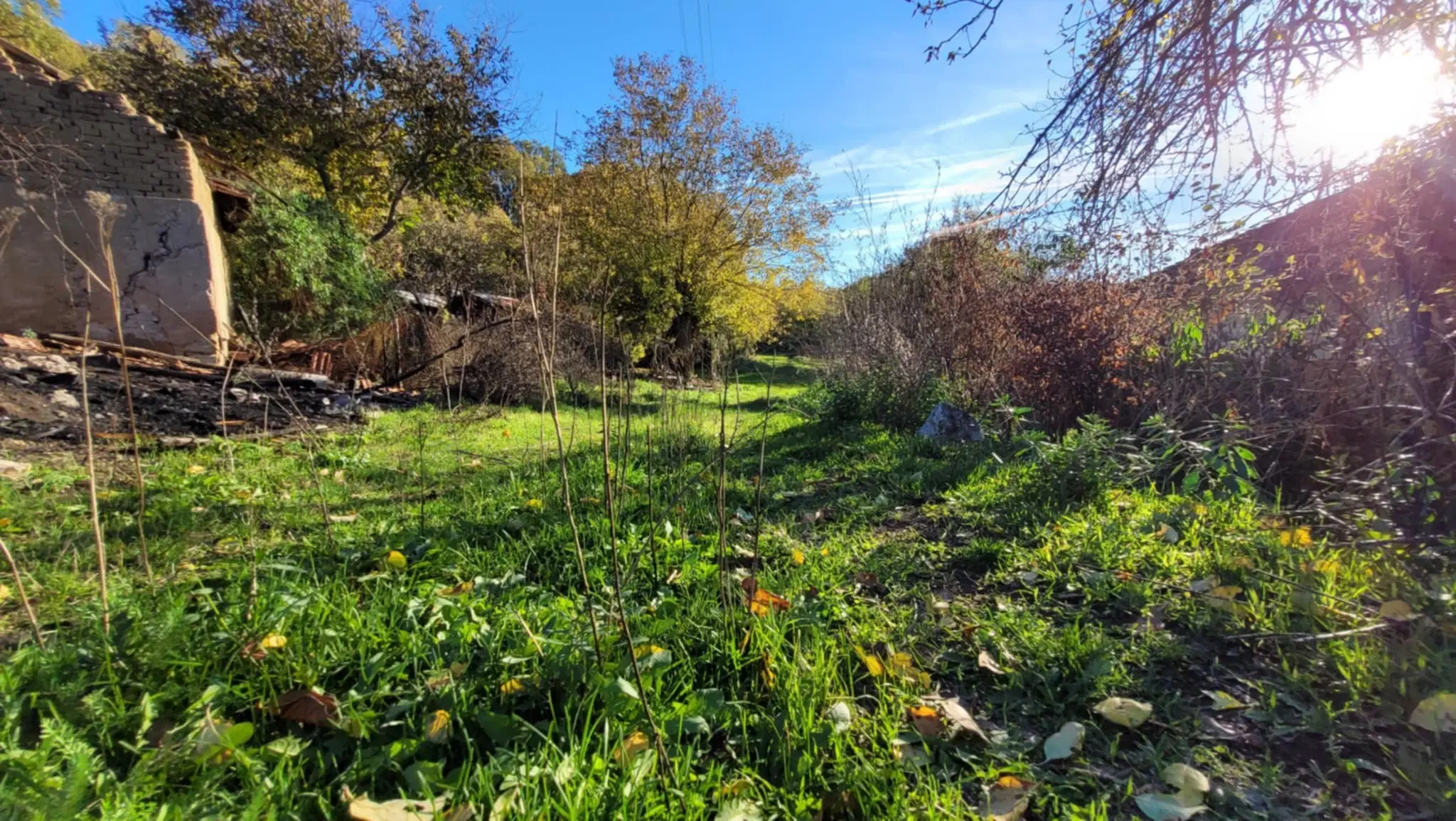 Huis met een perceel van 3.995 m² en extra gebouwen in Kosta Perchevo - Bulgarije