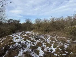 115 m² eigendomsperceel, gedeeltelijke bunker in Staßfurt - Duitsland