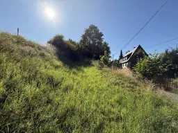 Openruimte van 220 m² nabij de Pirk- en Dröda-dammen - Bösenbrunn - Duitsland