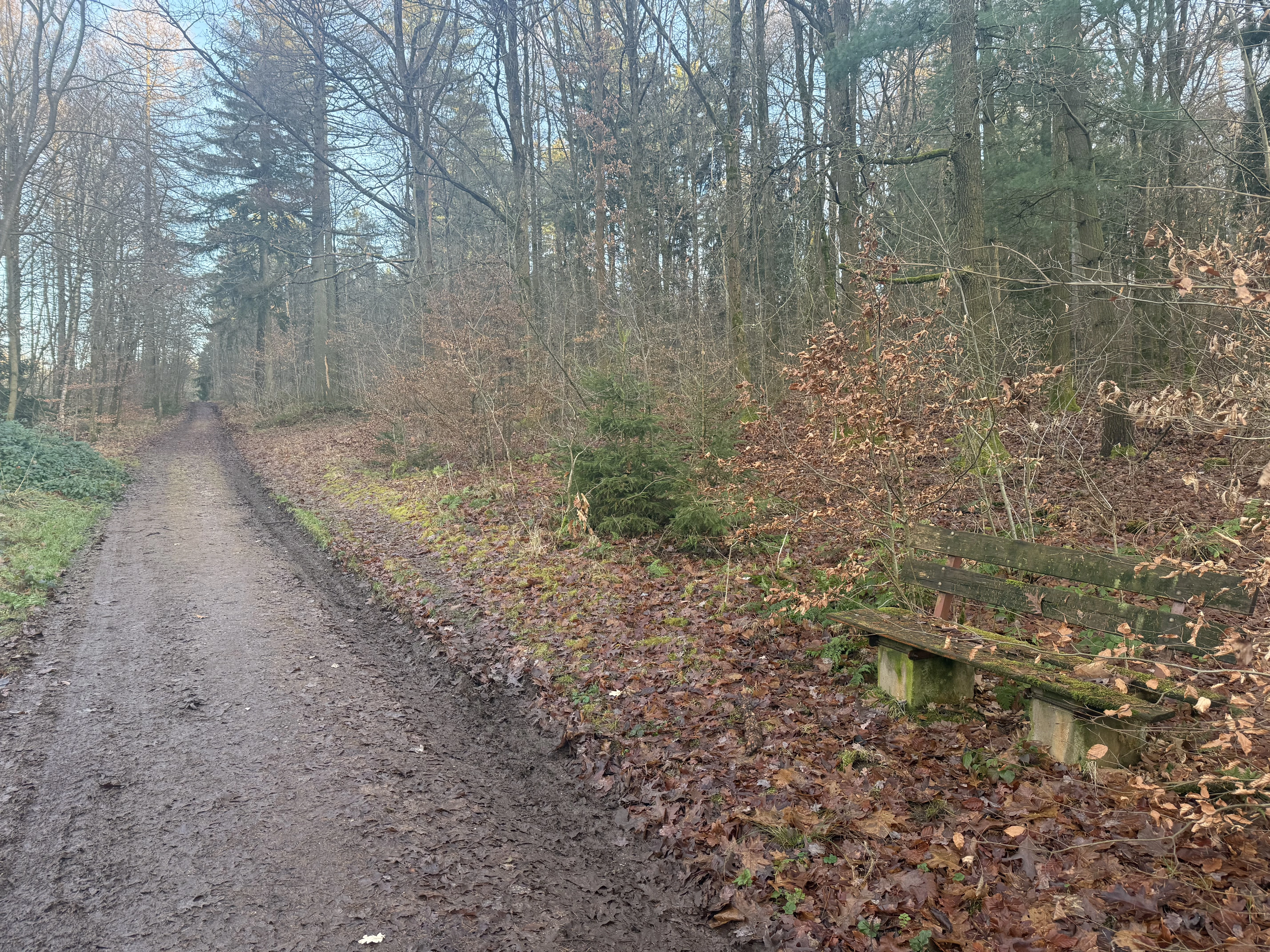 Bootcampbaan van 2.460 m² in Lichtenstein - Duitsland