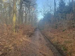 Bootcampbaan van 2.460 m² in Lichtenstein - Duitsland