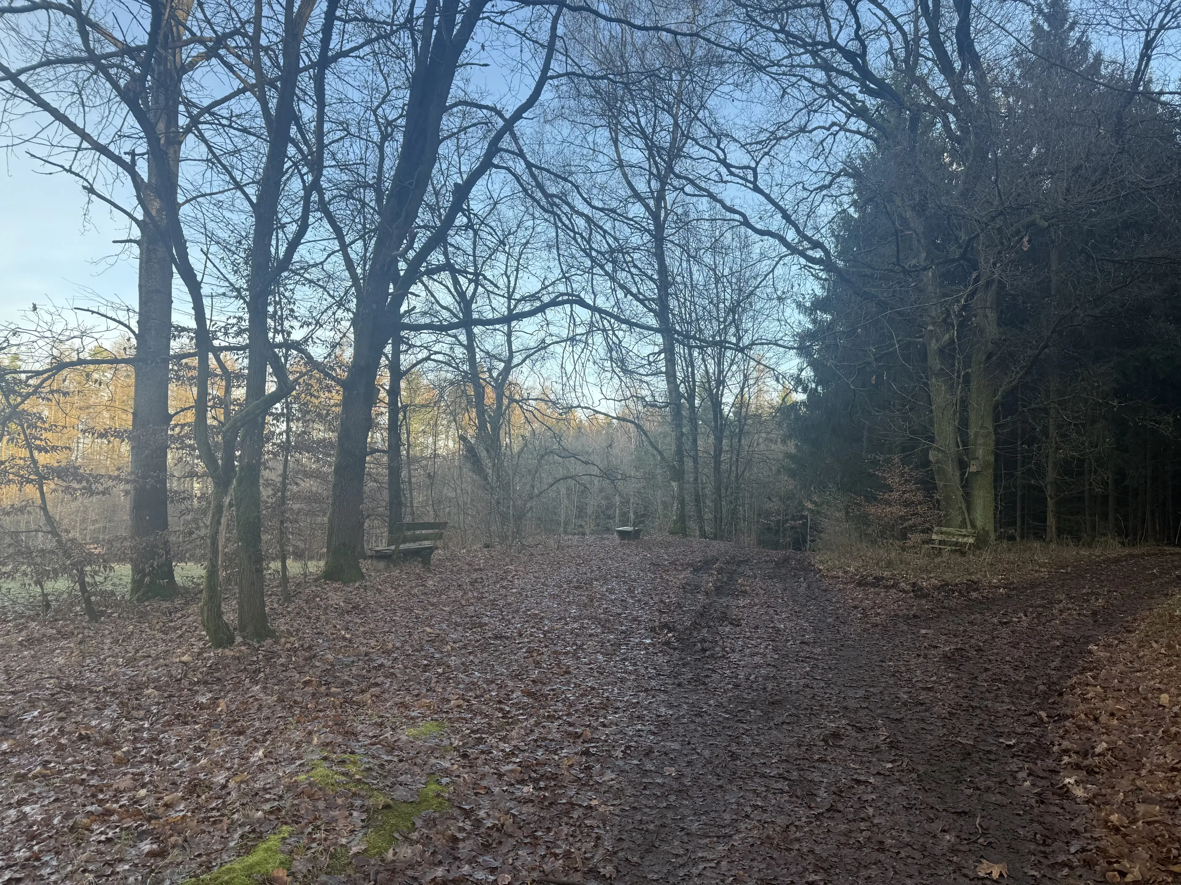 Bootcampbaan van 2.460 m² in Lichtenstein - Duitsland