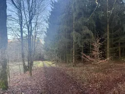 Bootcampbaan van 2.460 m² in Lichtenstein - Duitsland