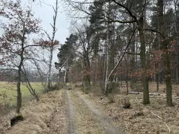 Eigendomsperceel van 8.022 m² midden in de natuur nabij de Elbe, Pertzsch - Duitsland