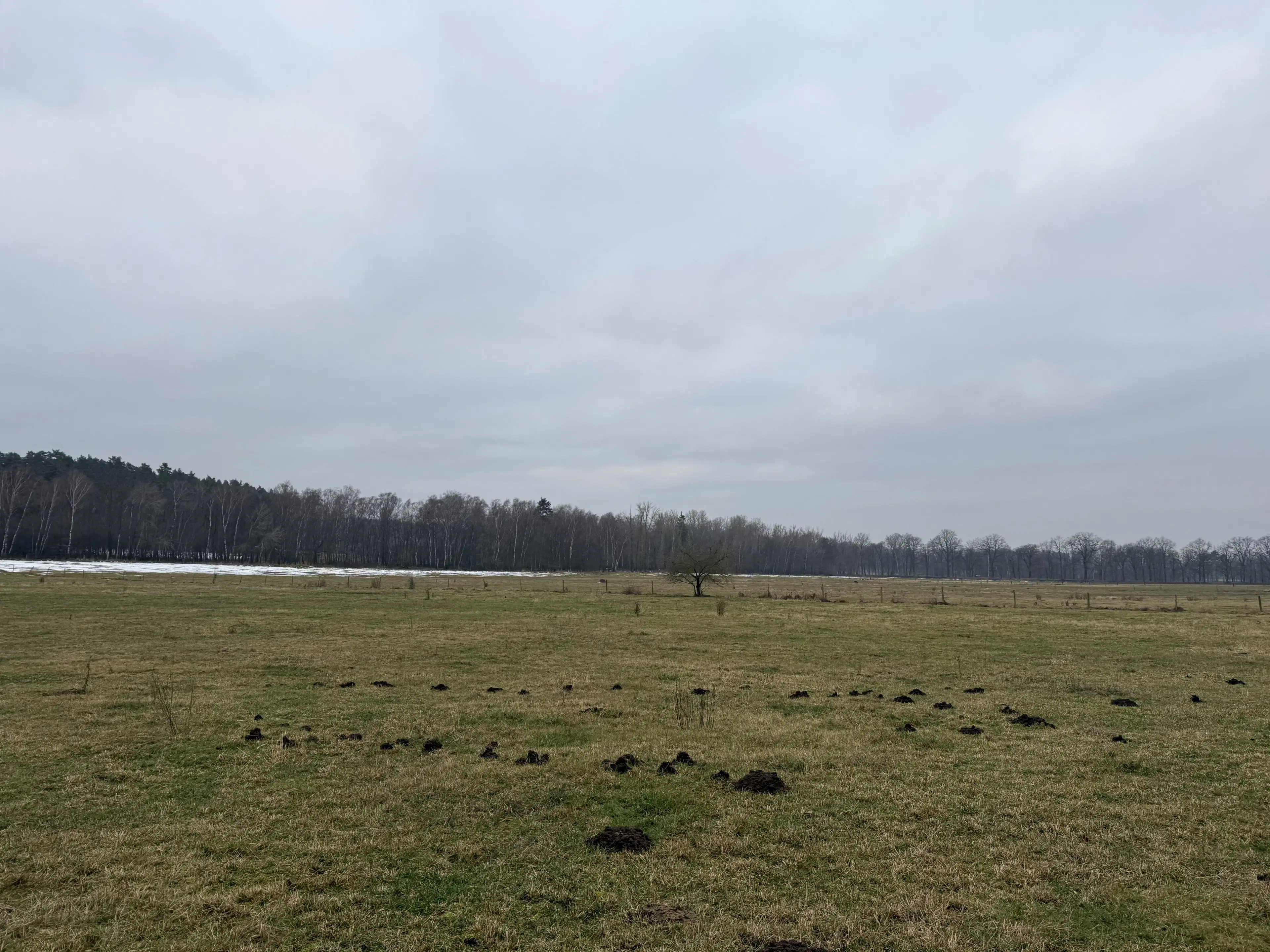 Eigendomsperceel van 8.022 m² midden in de natuur nabij de Elbe, Pertzsch - Duitsland