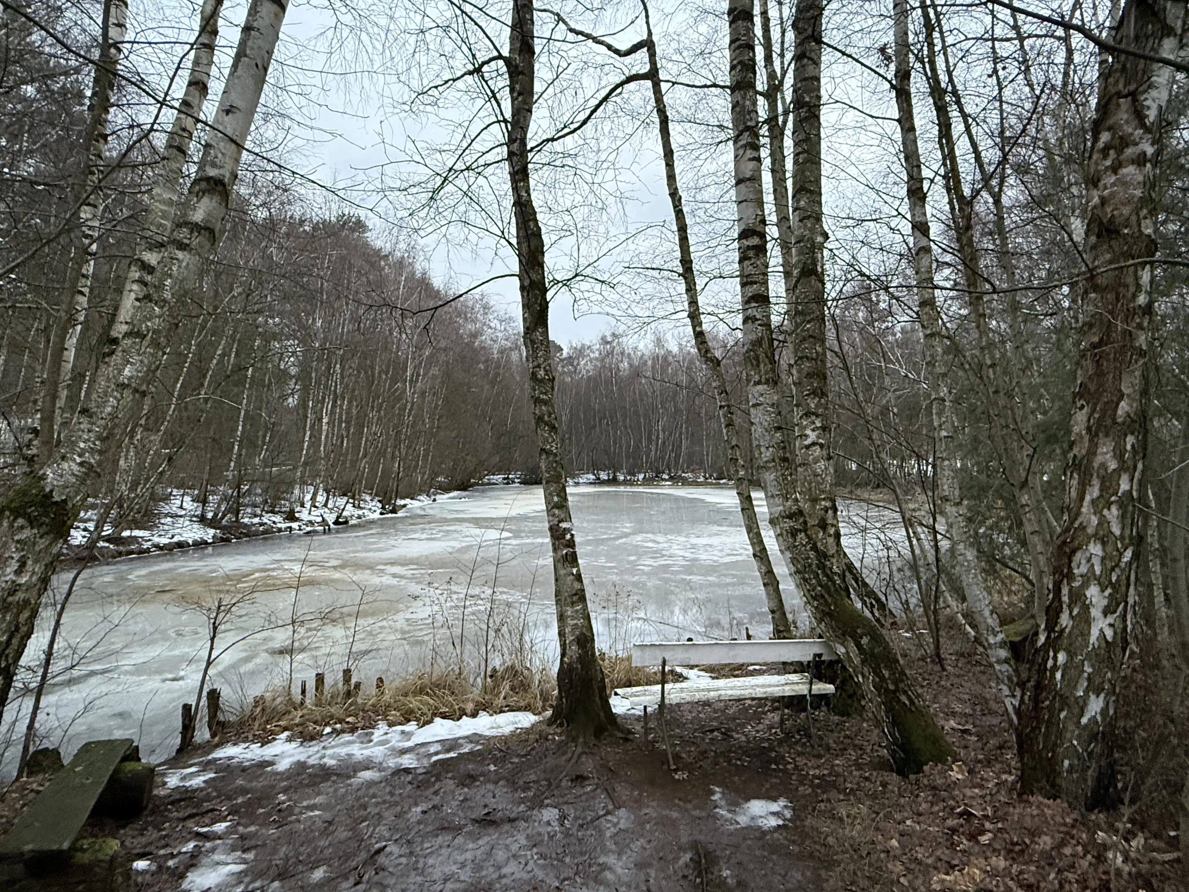 Eigendomsperceel van 8.022 m² midden in de natuur nabij de Elbe, Pertzsch - Duitsland