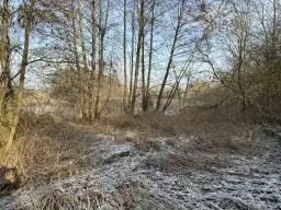 Eigendomsperceel van 1.022 m² in de regio Döbeln - Duitsland