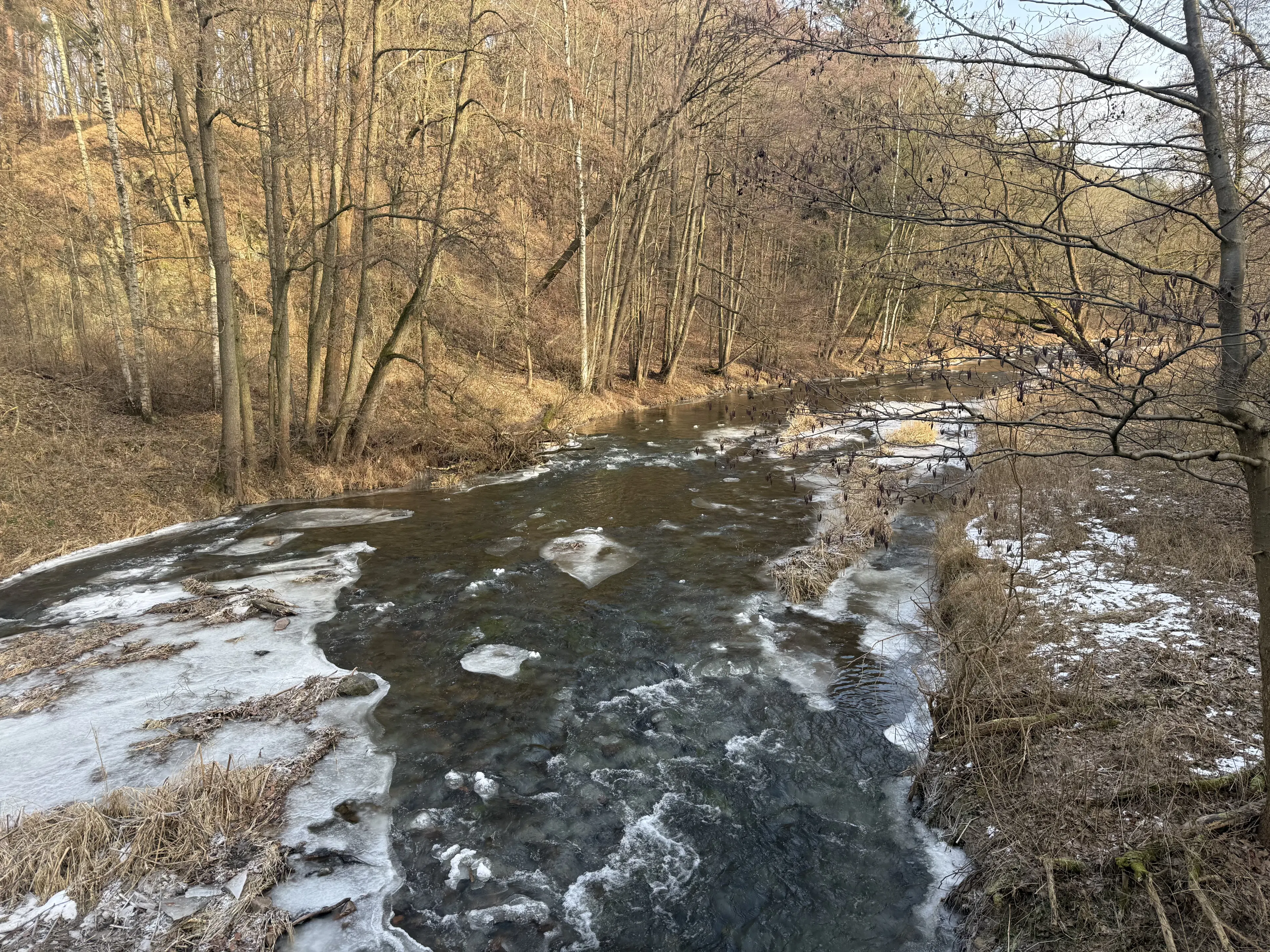 Eigendomsperceel van 1.022 m² in de regio Döbeln - Duitsland
