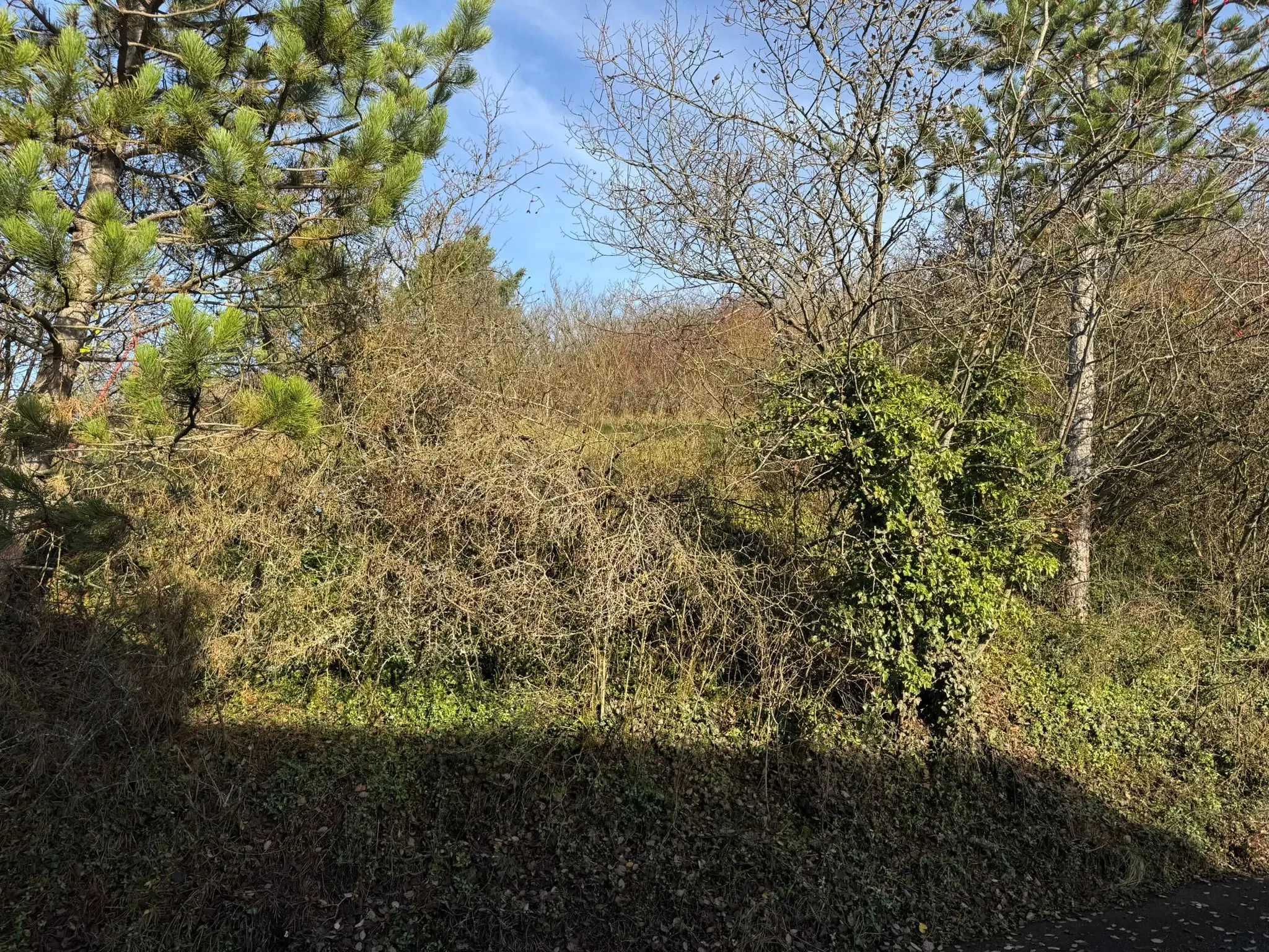 Bouwperceel van 1.025 m² in Boxberg, Wölchingen - Duitsland