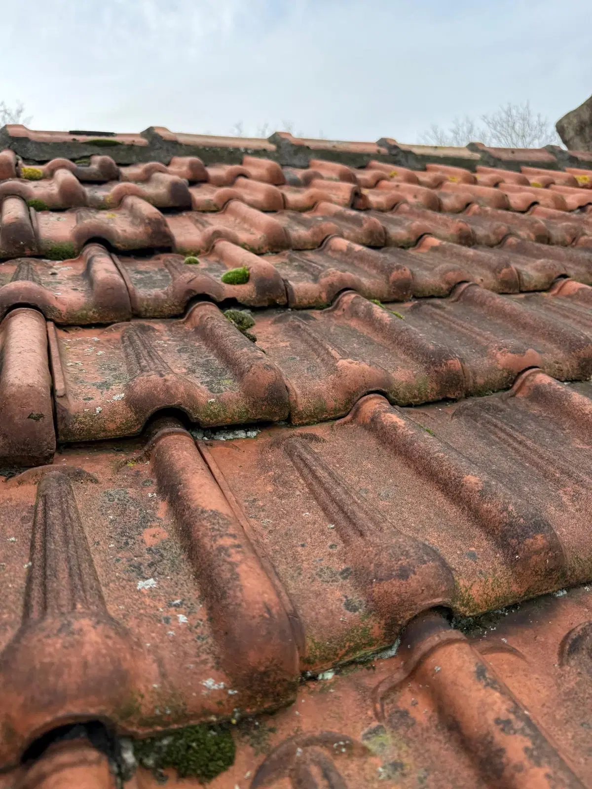 's-Hertogenbosch, Van der Weeghensingel 9