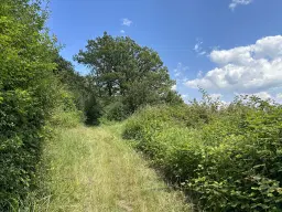 3 percelen van totaal 604 m² in Cochem - Duitsland