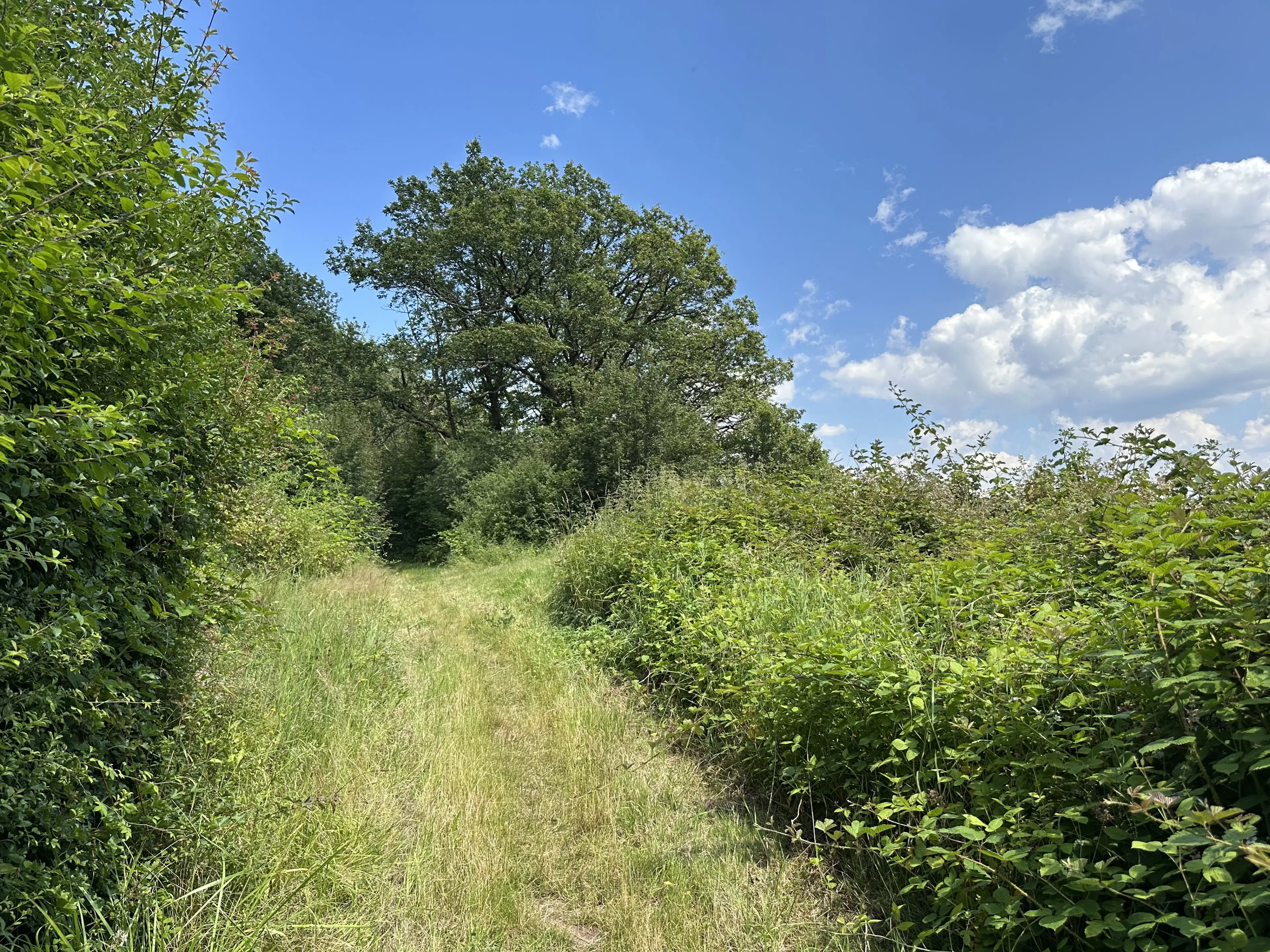 3 percelen van totaal 604 m² in Cochem - Duitsland