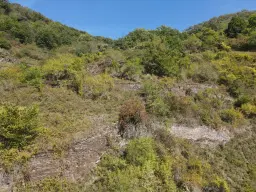 Perceel van 726 m² naast Centrum Cochem - Duitsland