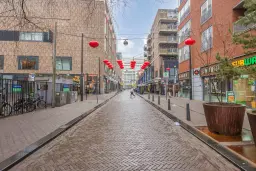 Gedempte Gracht 593 te ’s-Gravenhage