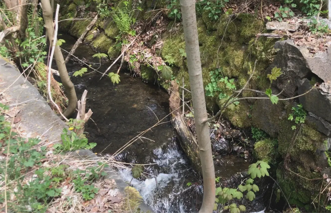 Woning met diverse aanbouwen en een solide basisconstructie in Klingenthal - Duitsland