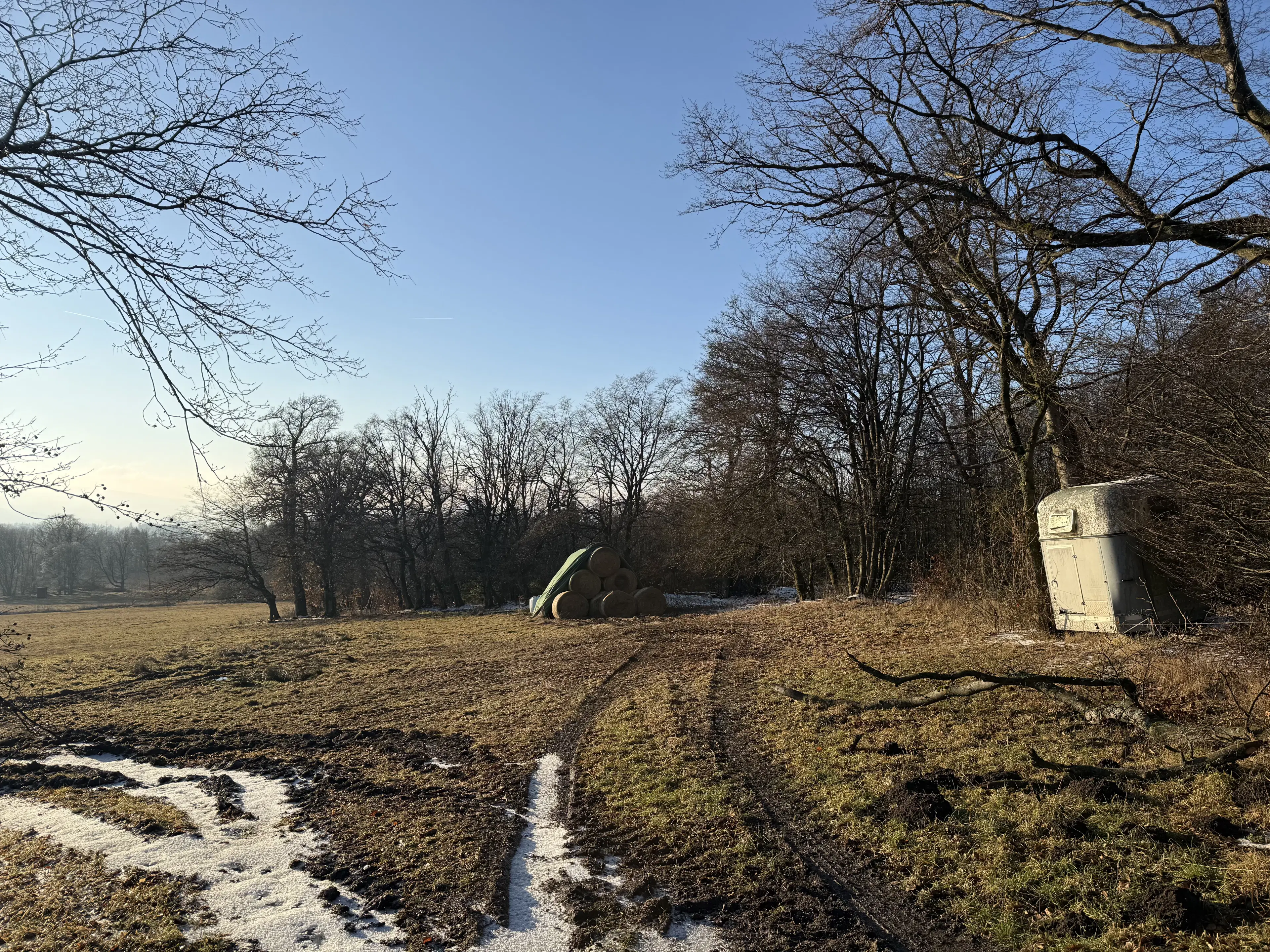 Agrarisch terrein met voormalige melkstal op perceel van 1.878m² bij Meiningen, Kassel, Duitsland