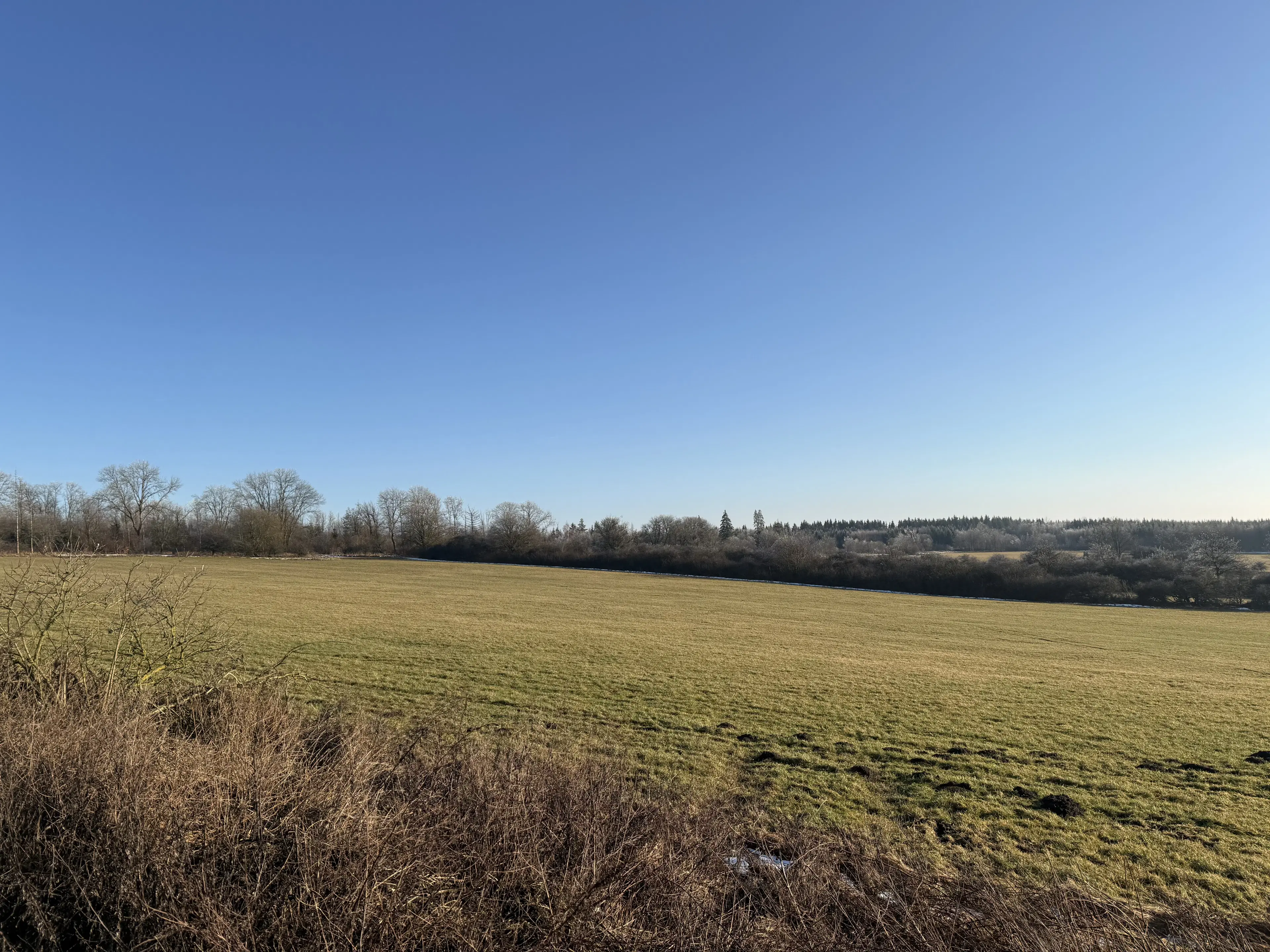 Agrarisch terrein met voormalige melkstal op perceel van 1.878m² bij Meiningen, Kassel, Duitsland