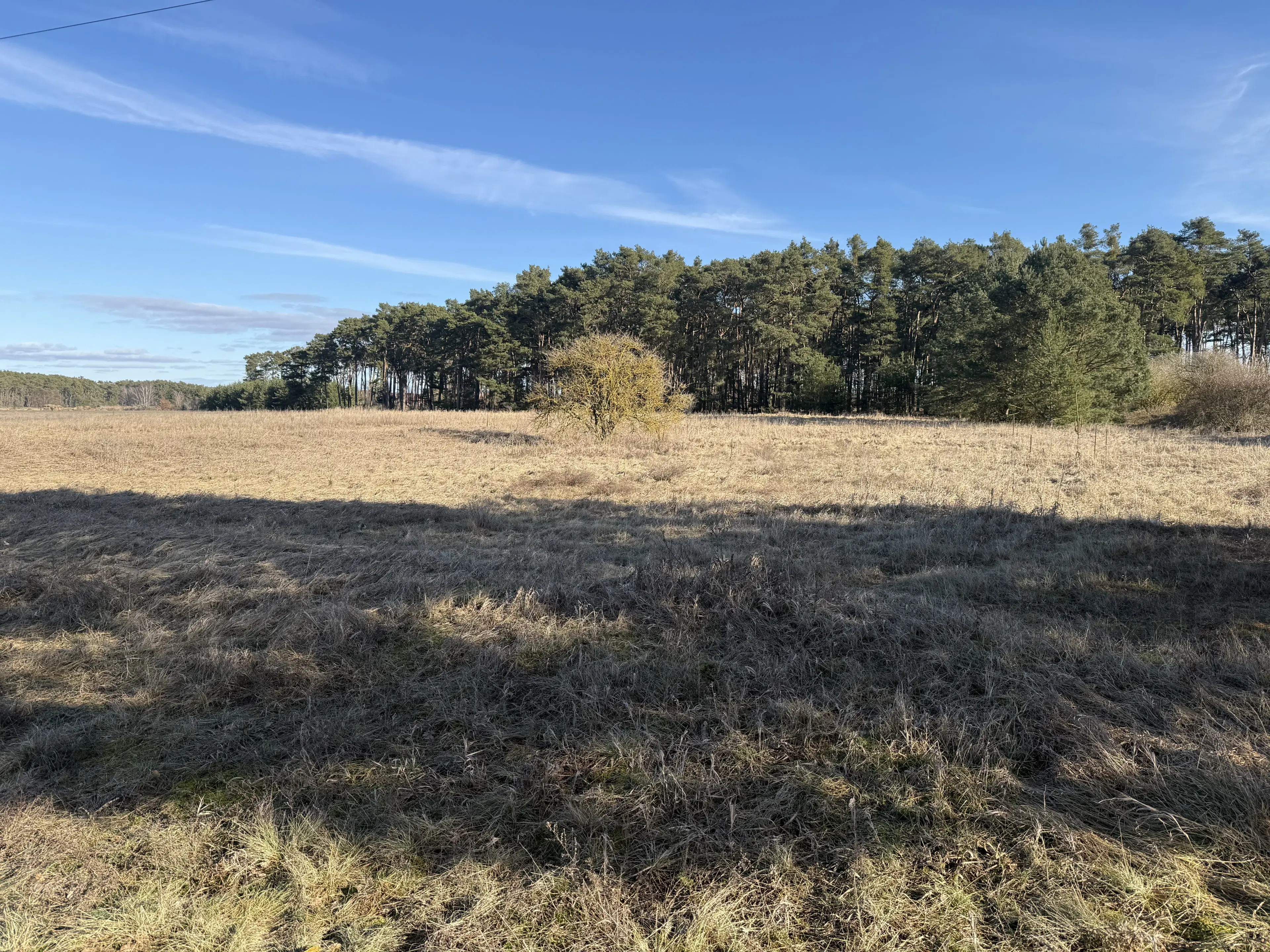 Terrein van ca. 1,75 ha naast natuurcamping Ragösen - Fläming - Duitsland