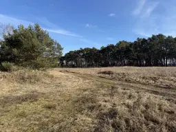 Terrein van ca. 1,75 ha naast natuurcamping Ragösen - Fläming - Duitsland