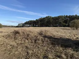 Terrein van ca. 1,75 ha naast natuurcamping Ragösen - Fläming - Duitsland