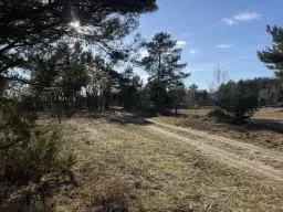 Terrein van ca. 1,75 ha naast natuurcamping Ragösen - Fläming - Duitsland