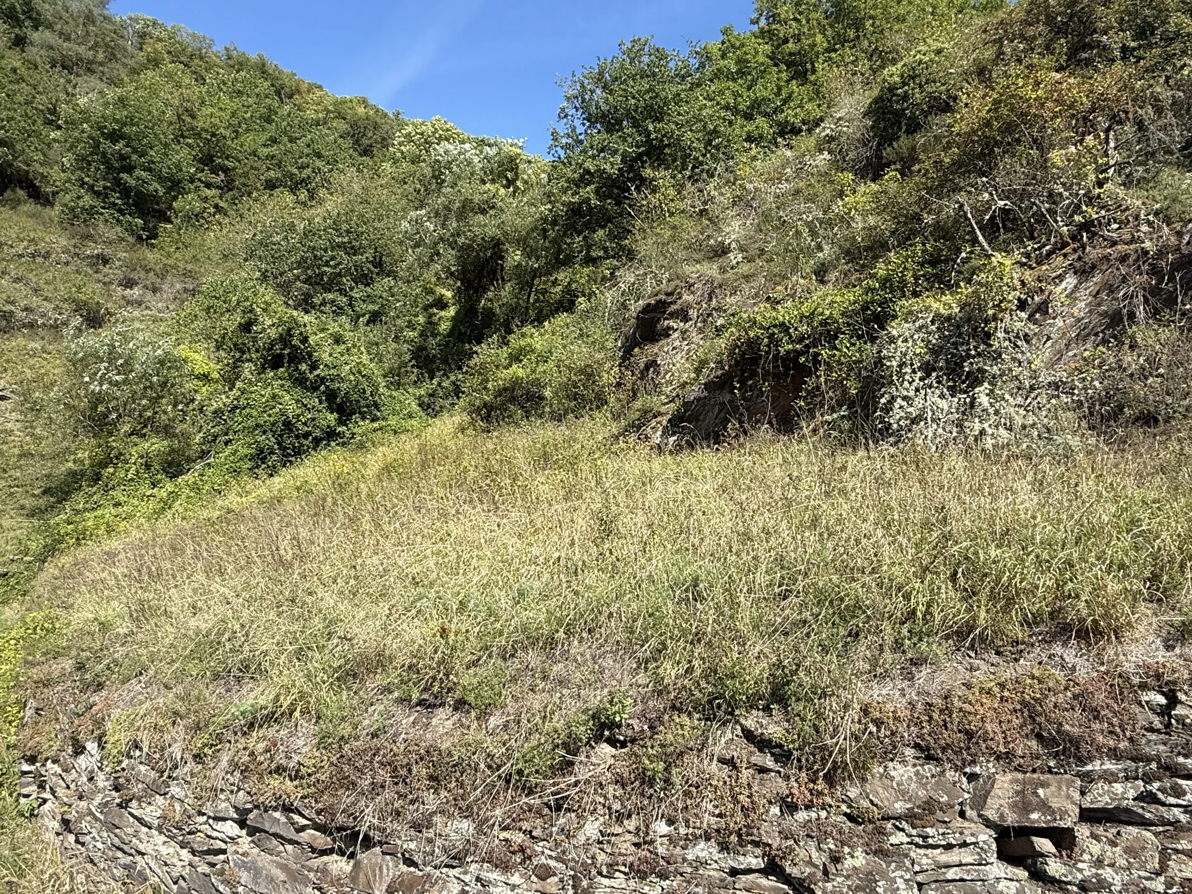 Perceel van 966 m² nabij Cochem centrum - Duitsland