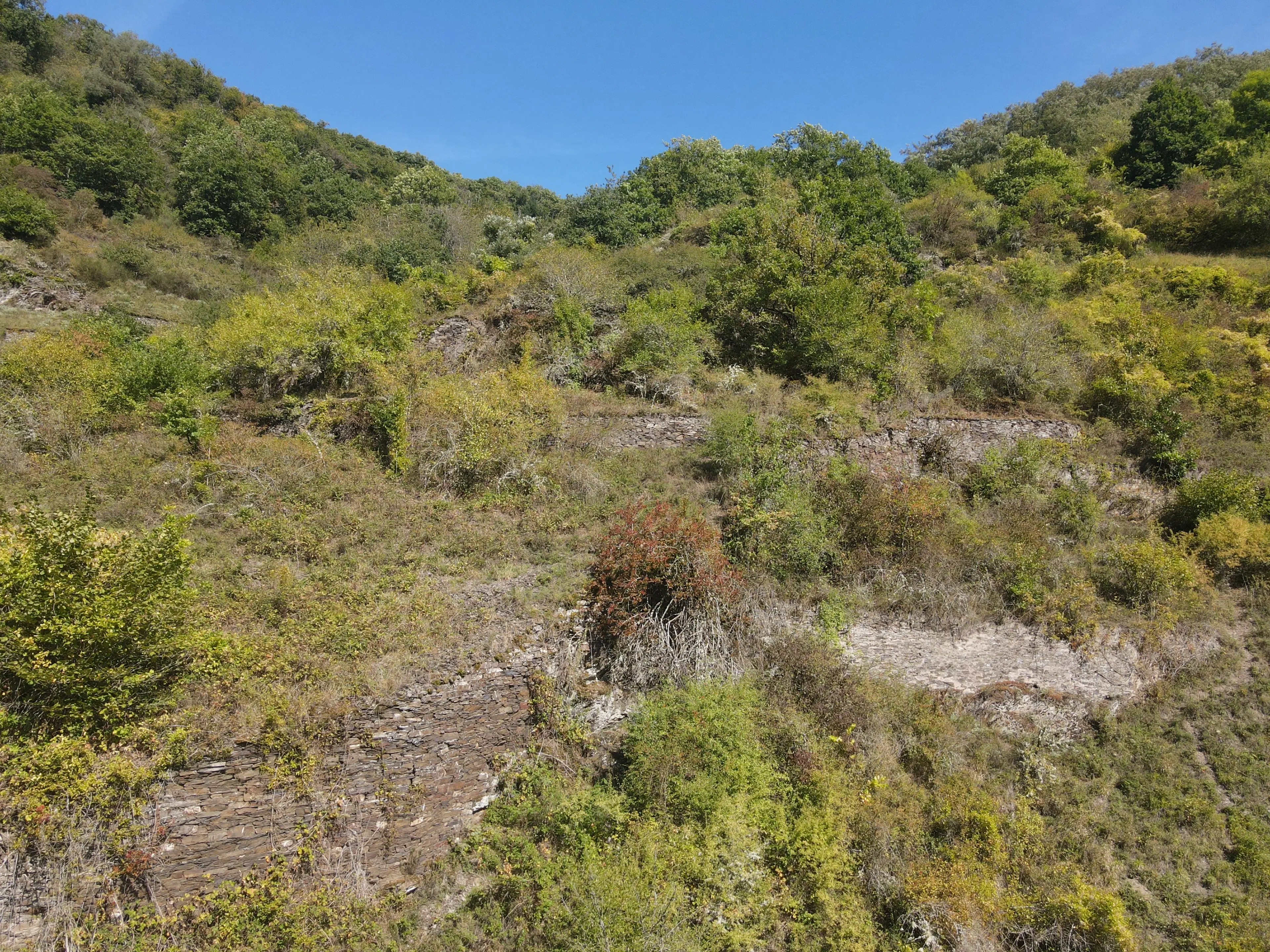 Perceel van 966 m² nabij Cochem centrum - Duitsland