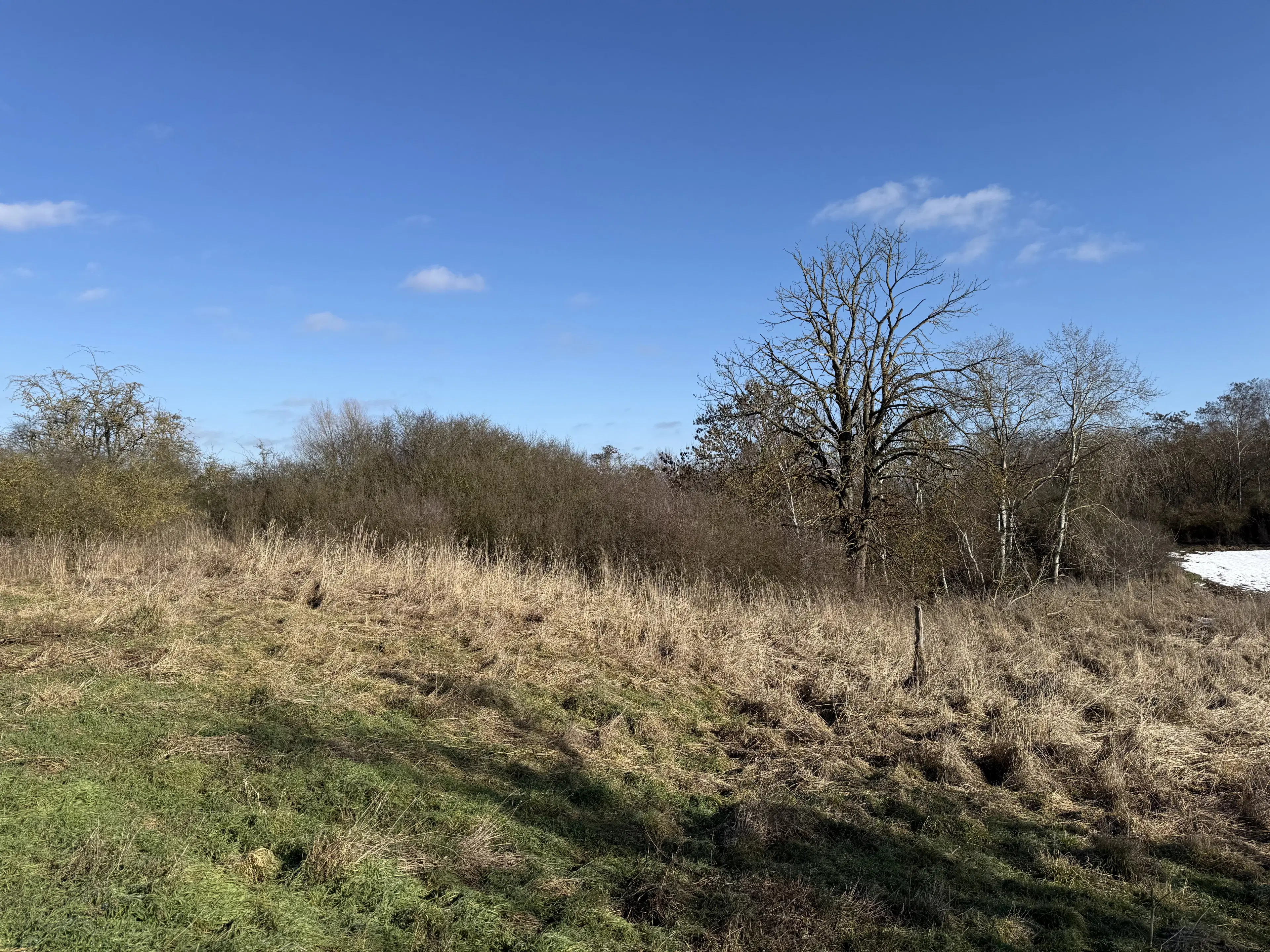 Eigendomsperceel van 1.120 m² in Emden - Duitsland