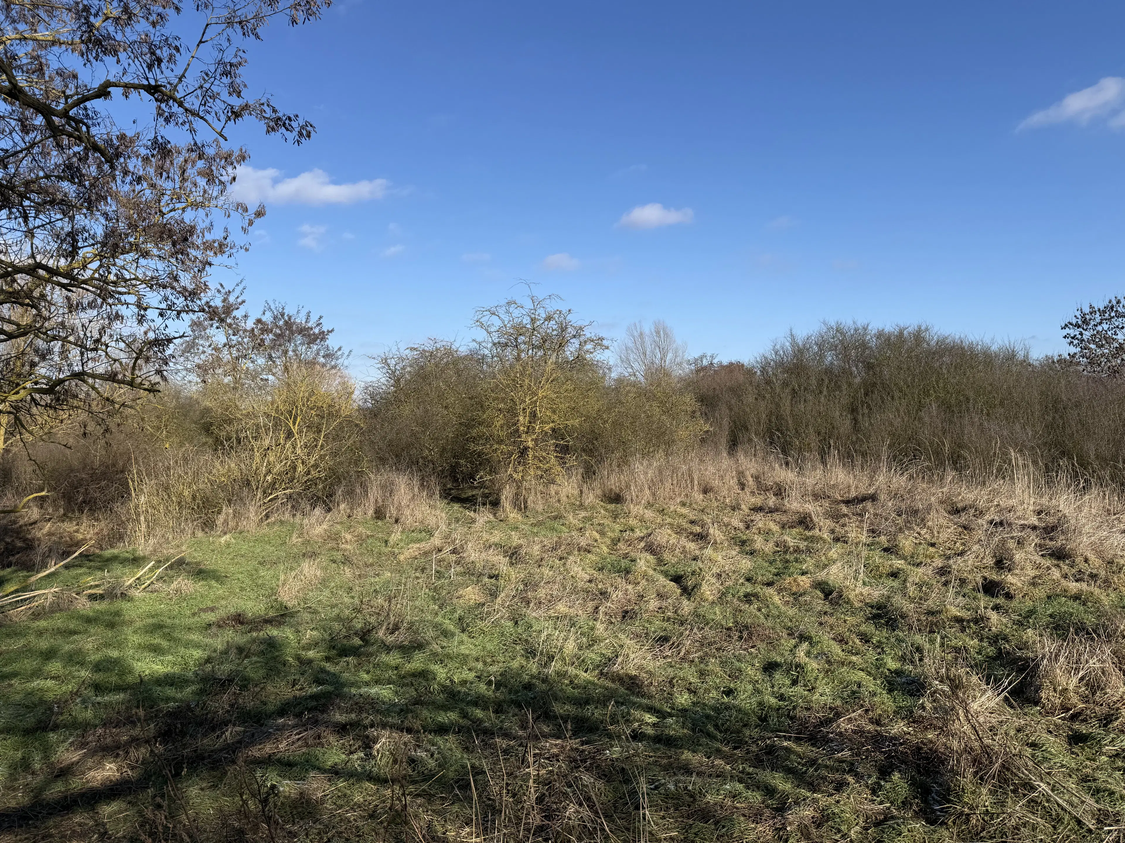 Eigendomsperceel van 1.120 m² in Emden - Duitsland