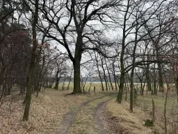 Eigendomsperceel van ca. 1.35 ha nabij de Elbe, Pretzsch - Duitsland