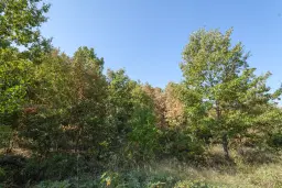 32.541 m² gemengd loofbos in regio Vidin - Bulgarije