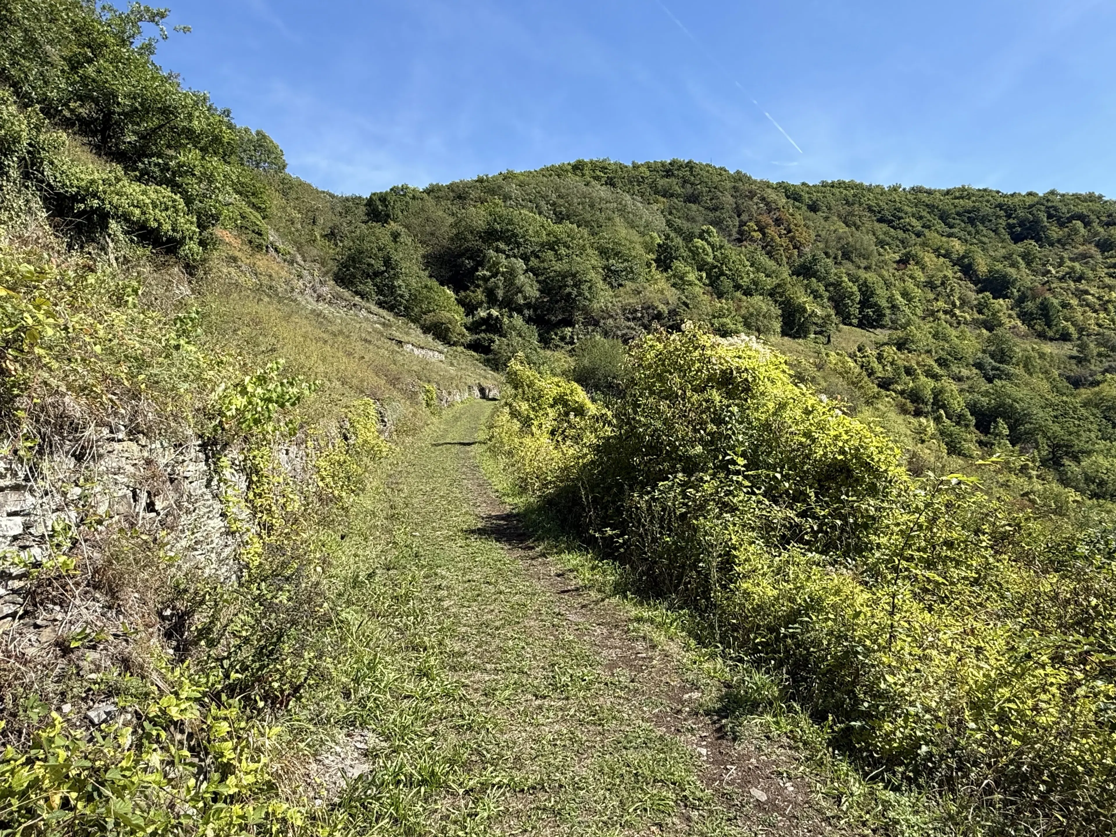 634 m² perceel met uitzicht over camping in Cochem - Duitsland