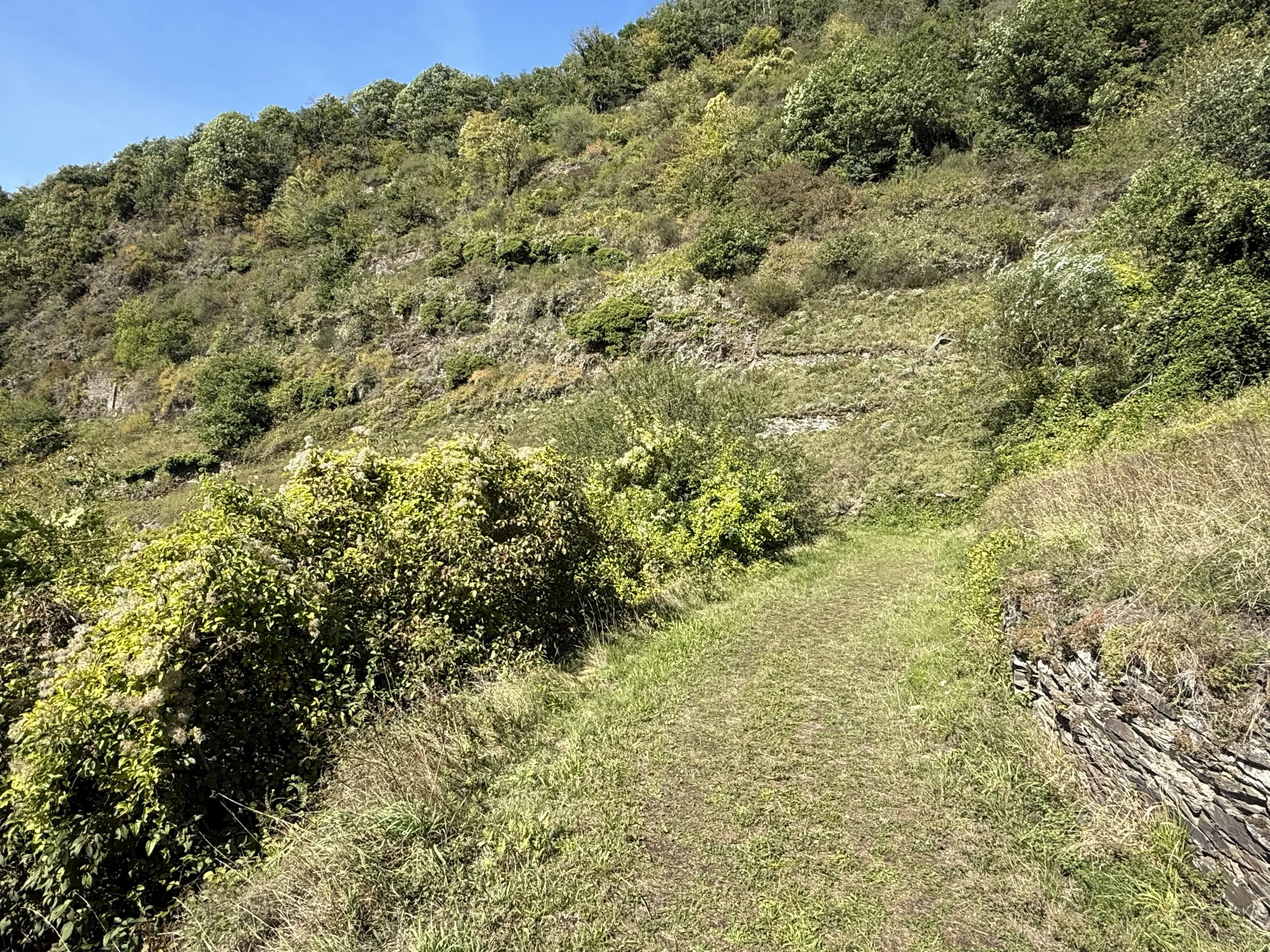 634 m² perceel met uitzicht over camping in Cochem - Duitsland