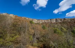 10.000 m² bosgrond in de regio Belogradchik - Bulgarije