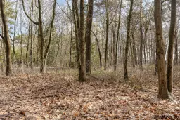 Duizel, Berkvenseweg 6