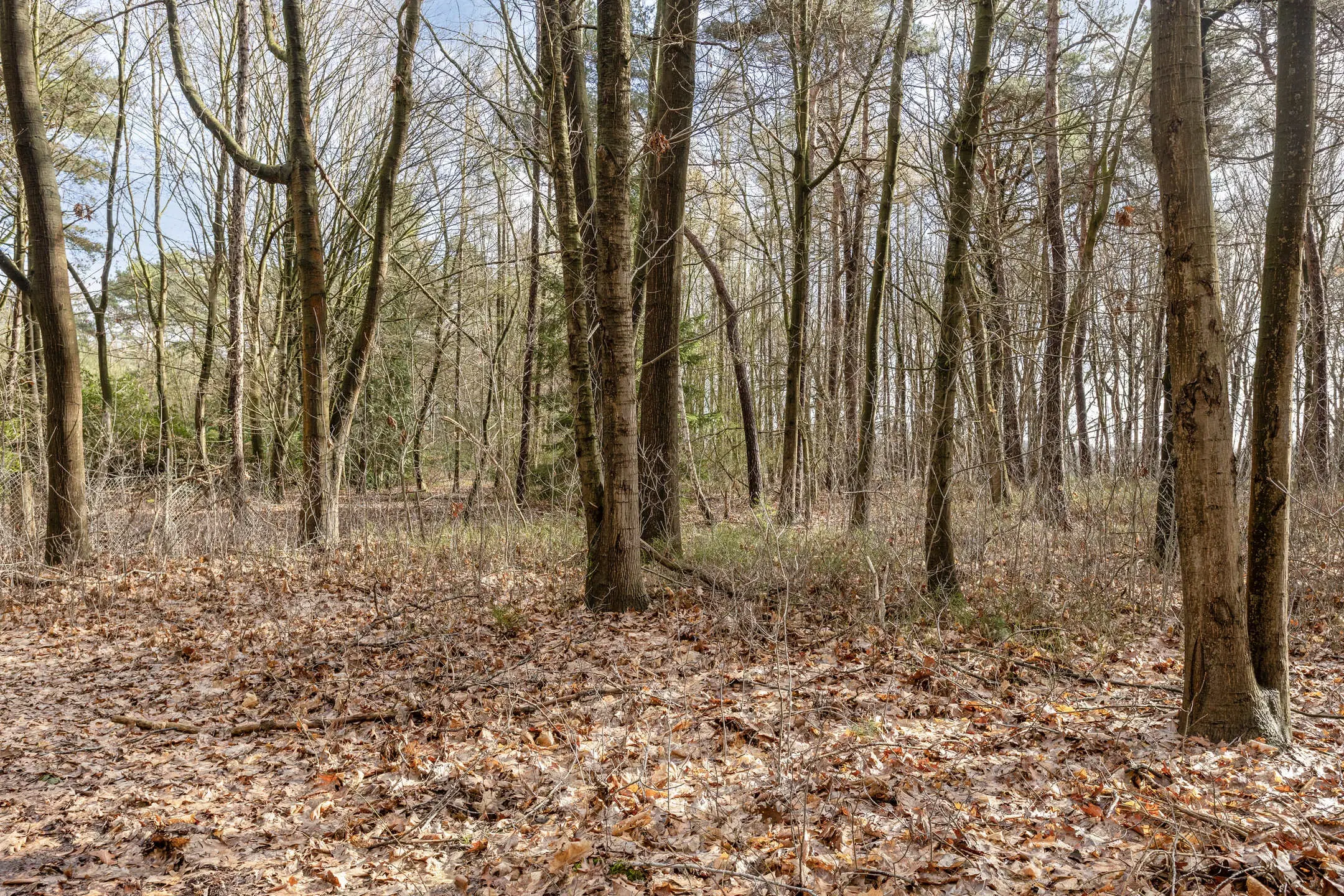 Duizel, Berkvenseweg 6