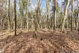 Duizel, Berkvenseweg 6