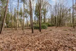 Duizel, Berkvenseweg 6