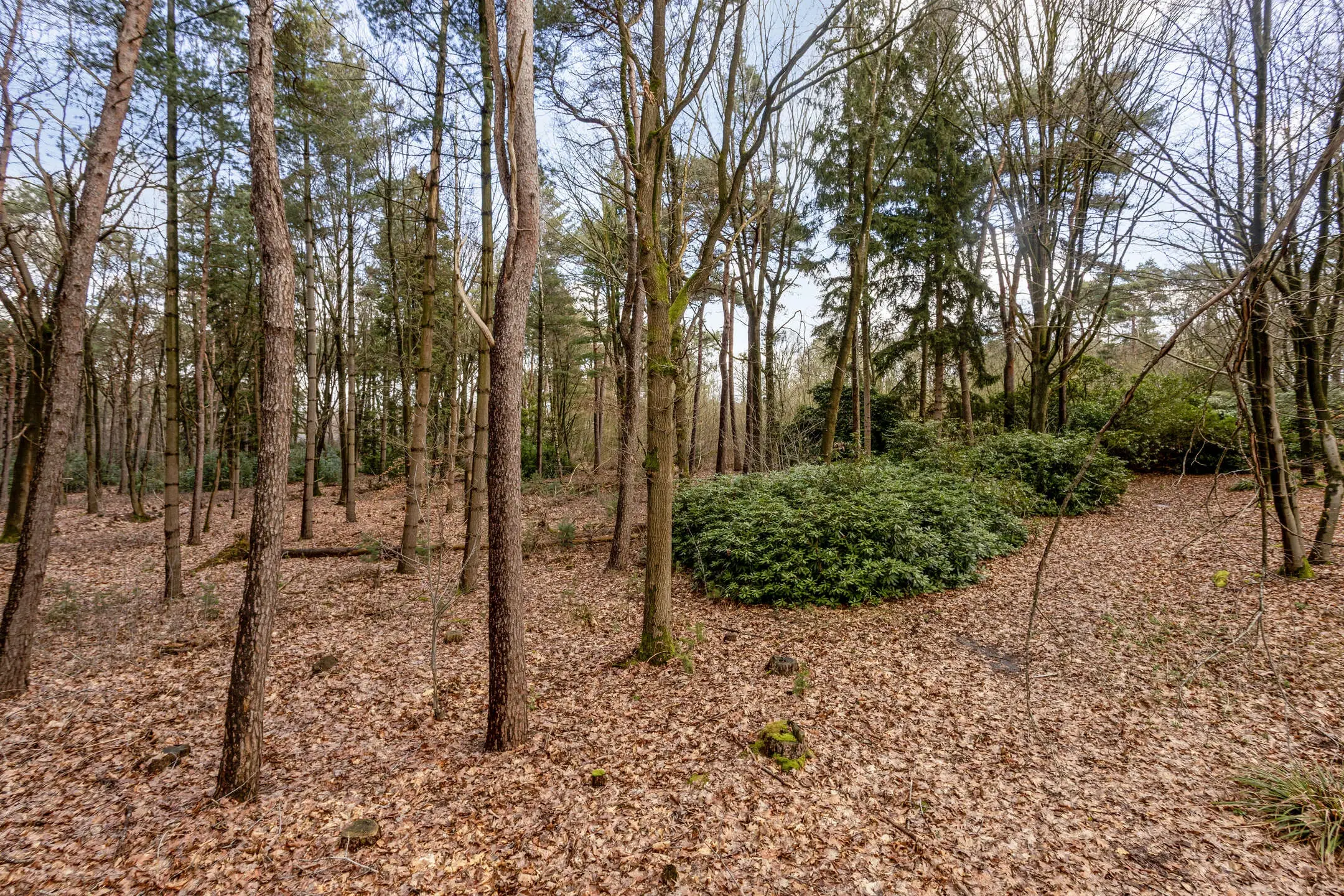 Duizel, Berkvenseweg 6