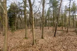 Duizel, Berkvenseweg 6