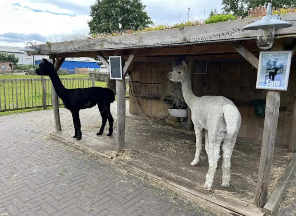 Biddinghuizen, Spijkweg 15 - P346