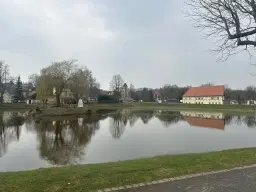 Vrijstaande vakwerkwoning op 290 m² eigendomsperceel in Langenleuba-Niederhain - Duitsland