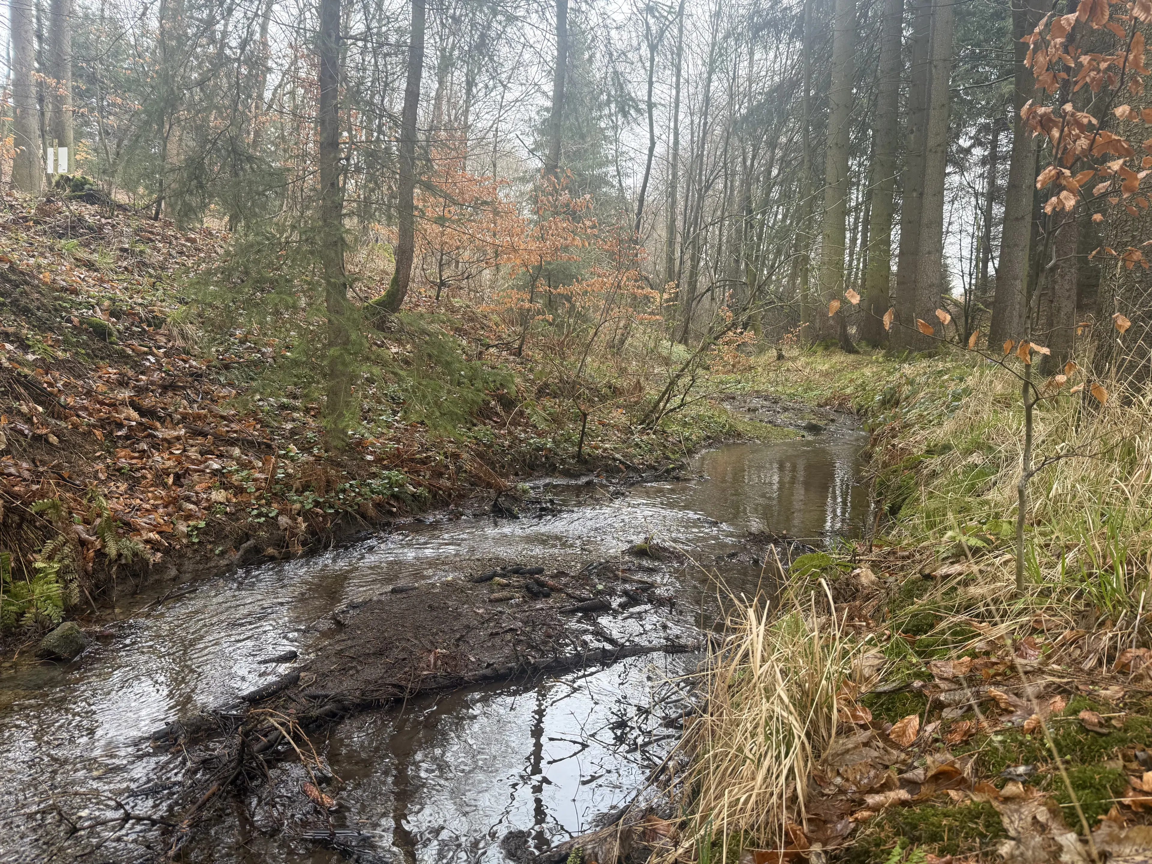 Eigendomsperceel van 2.172 m² nabij vakantiehuizen, Annaberg - Duitsland